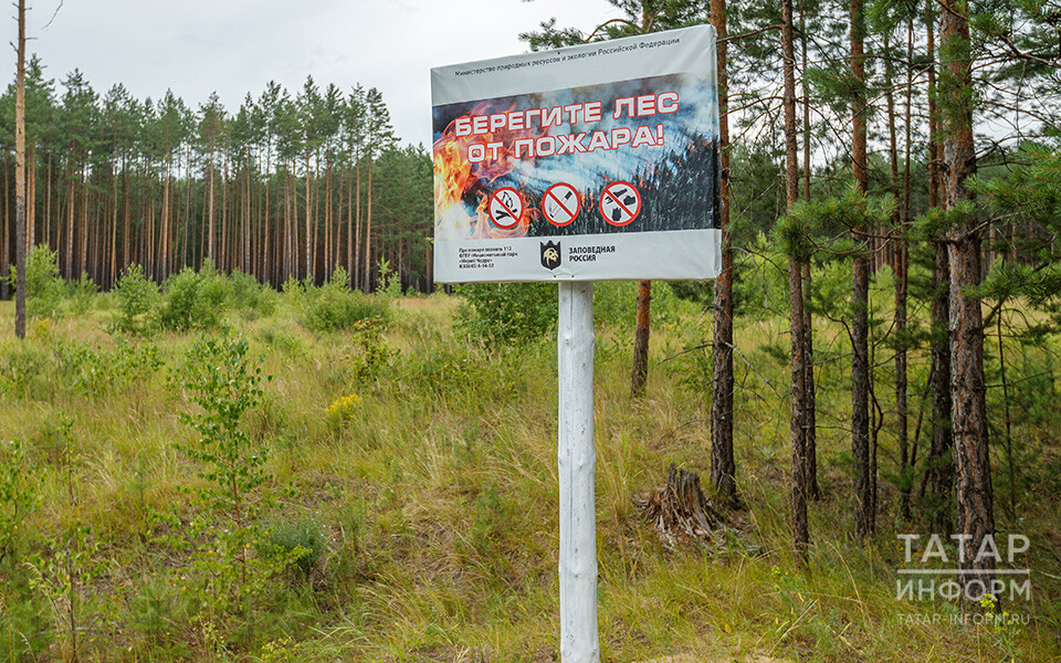 Татарстан из-за жары в пятый раз закрыл леса